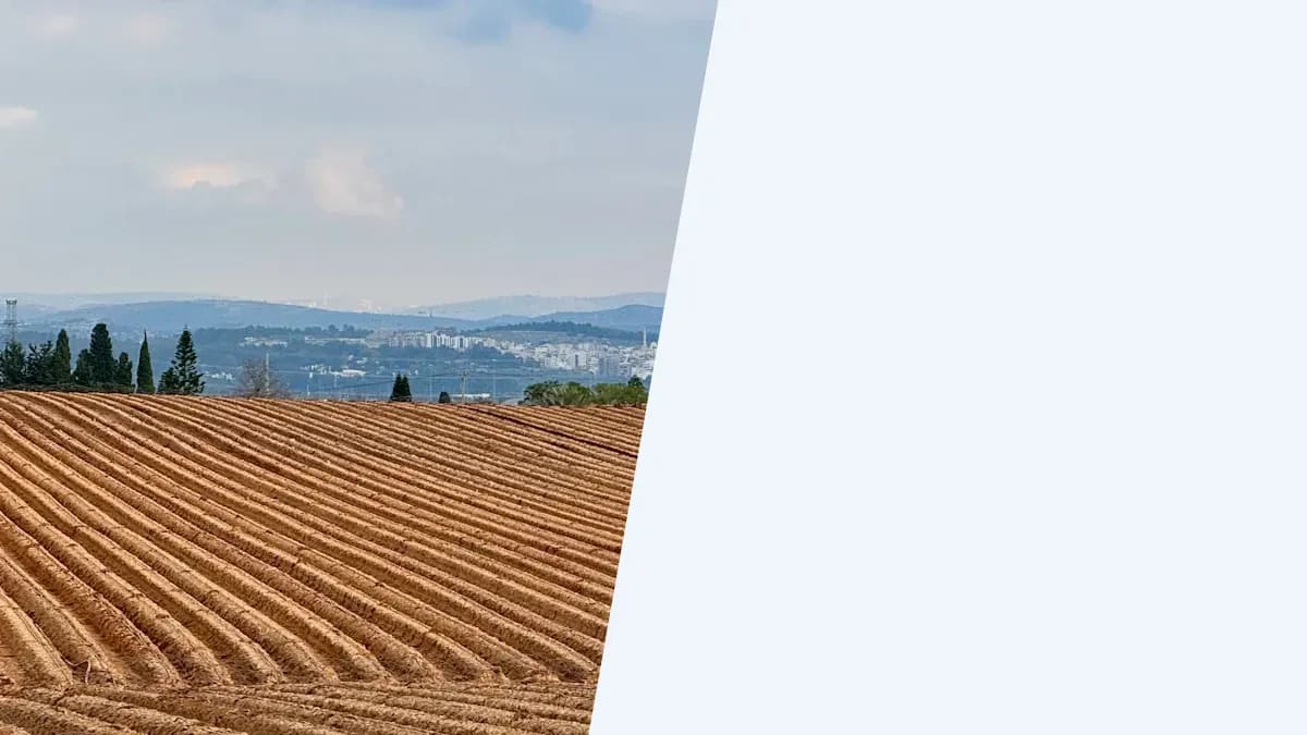 רשות מקרקעי ישראל (רמ"י)