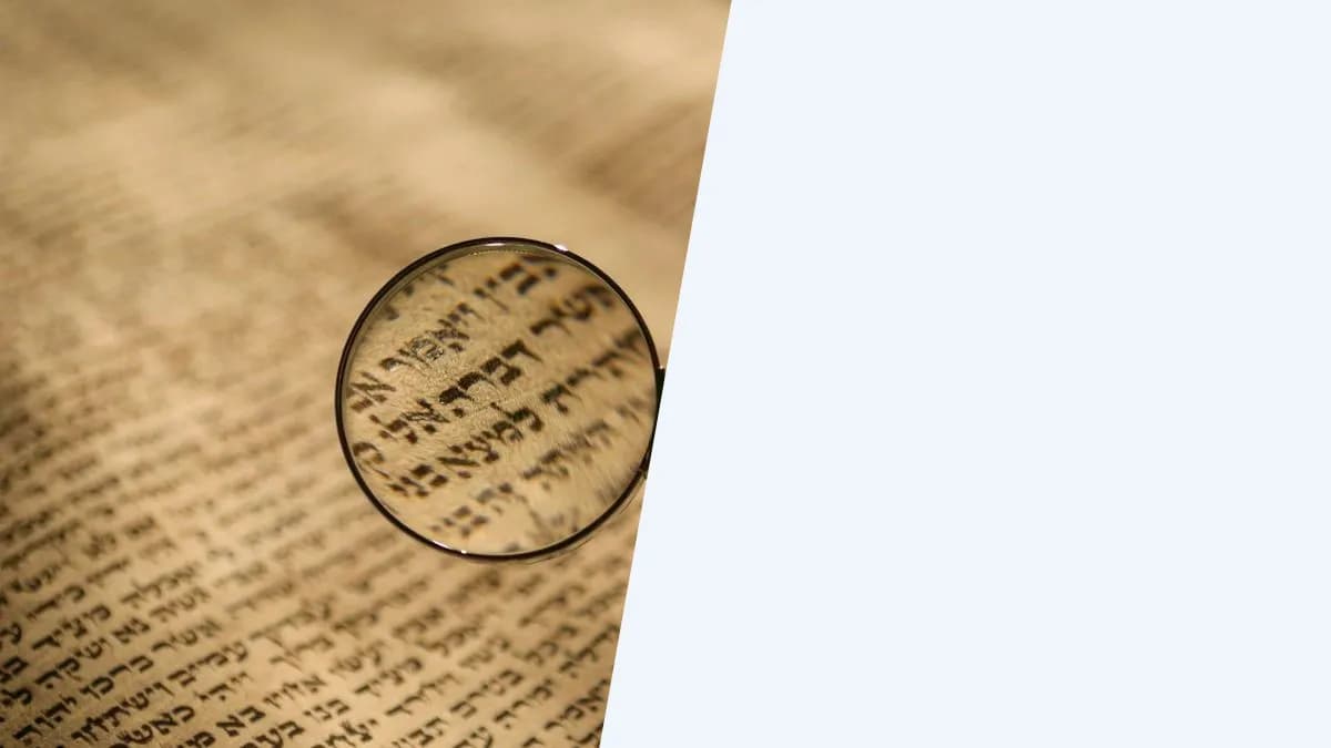 דוח רואה החשבון המבקר
