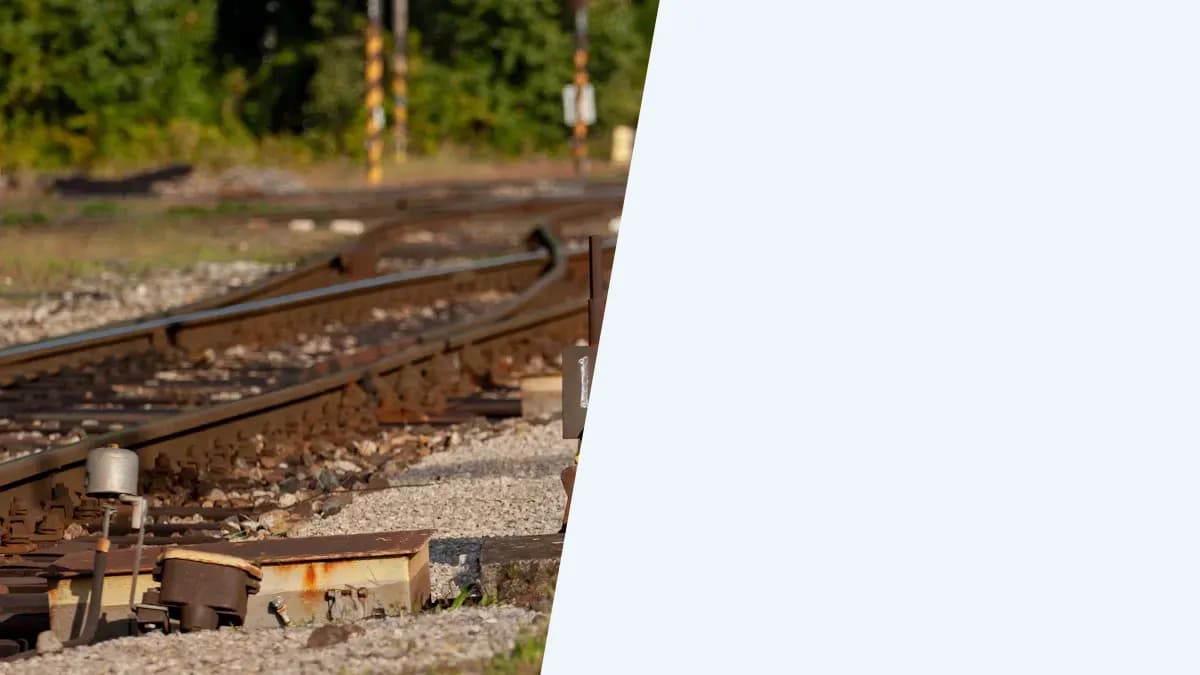 Exclusion or Foreign Tax Credit? The Annual Choice That Follows American Olim for Five Years