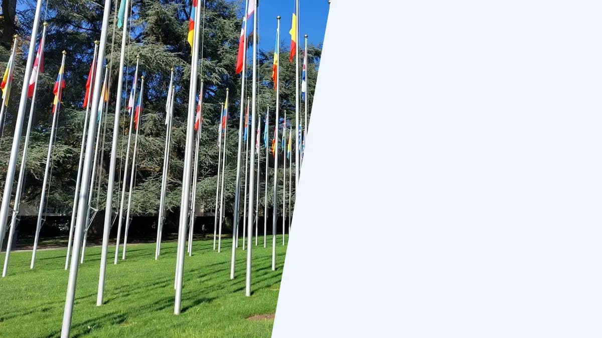 תקינה חשבונאית בינלאומית: IAS, IFRS וההבדלים