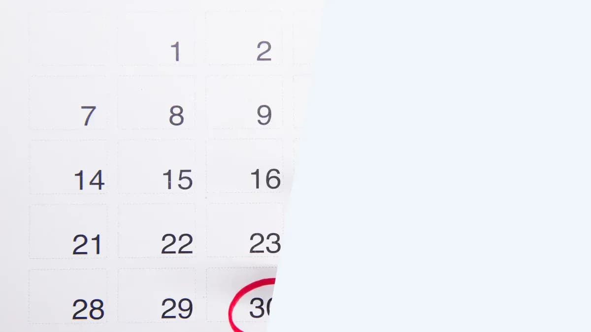 Your Misrad HaKlita Rights, Month by Month: A Benefits Timeline for Olim