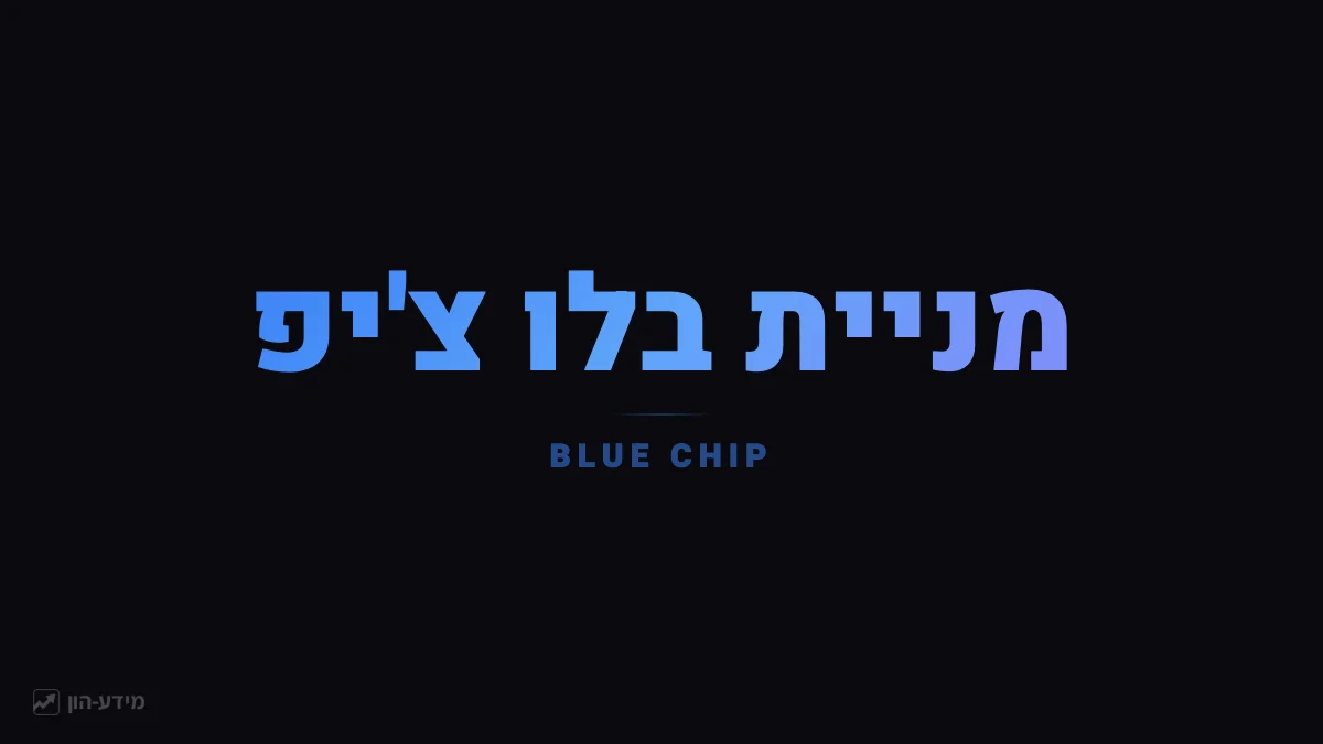 מניית בלו צ'יפ - חברות גדולות ויציבות