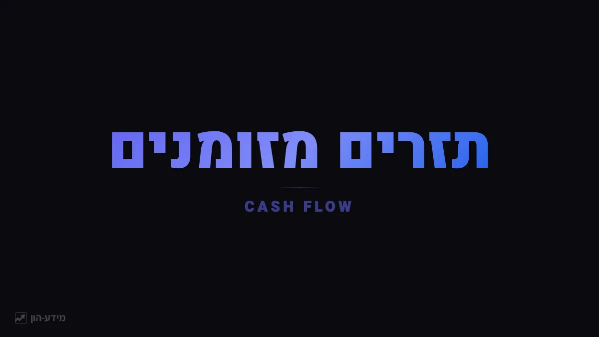 תזרים מזומנים - תנועת הכסף בפועל