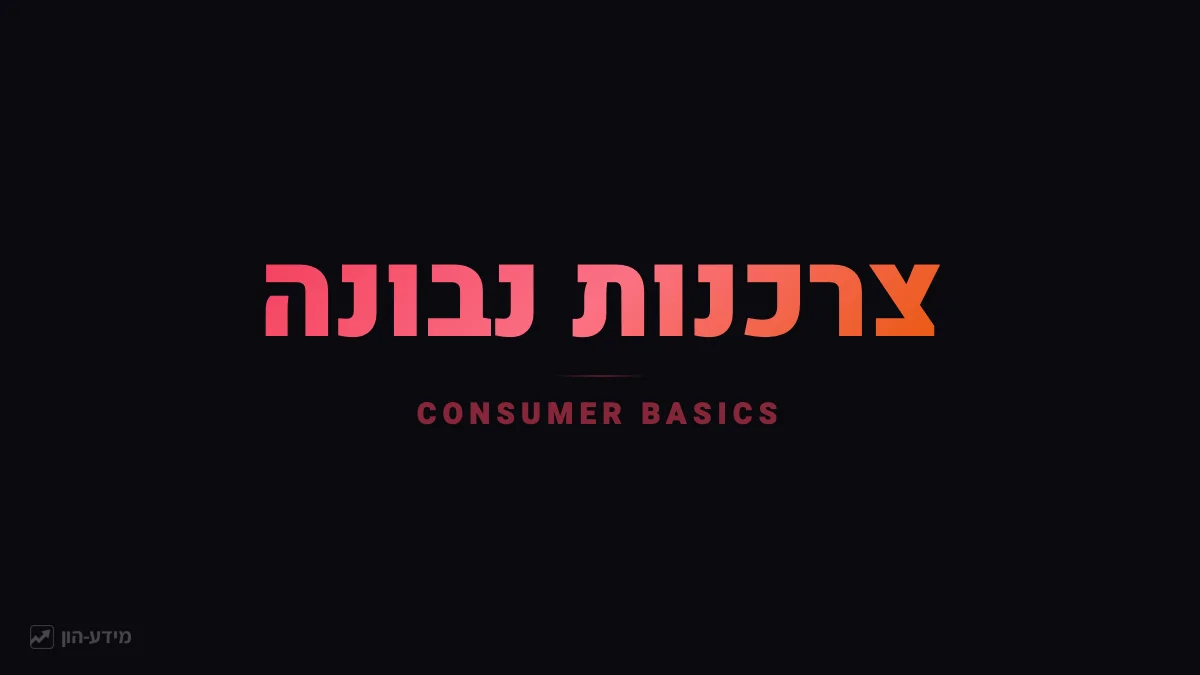 צרכנות נבונה