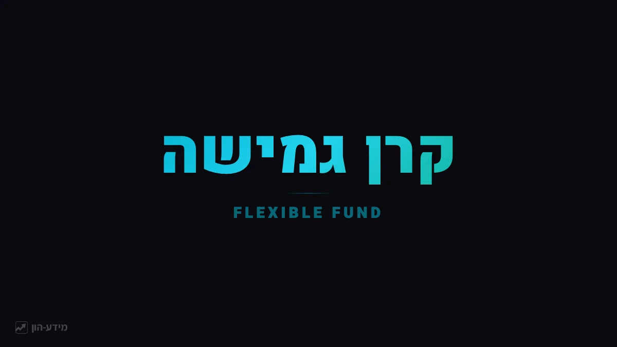קרן גמישה - חופש פעולה למנהל