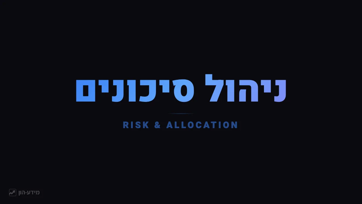 הקצאת נכסים וסיכון