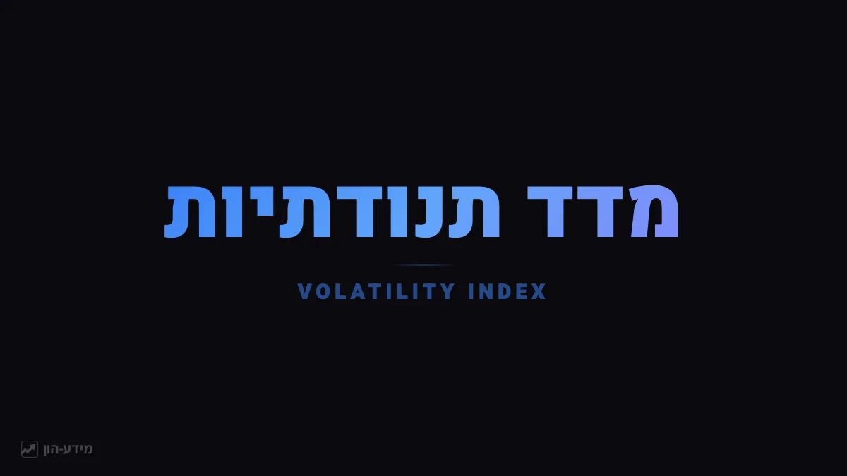 מדד תנודתיות